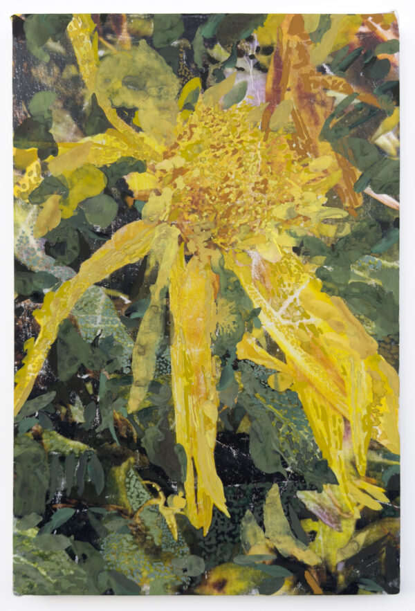 Fall Flower