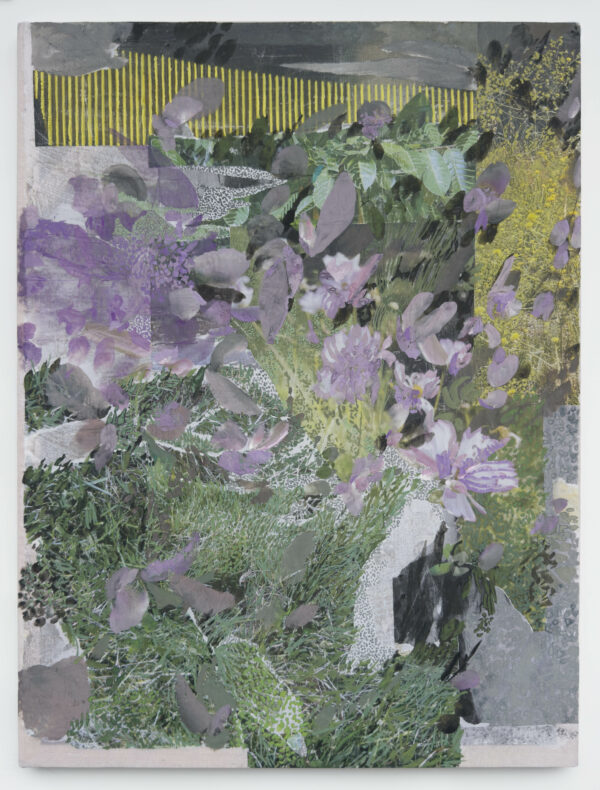Crocus