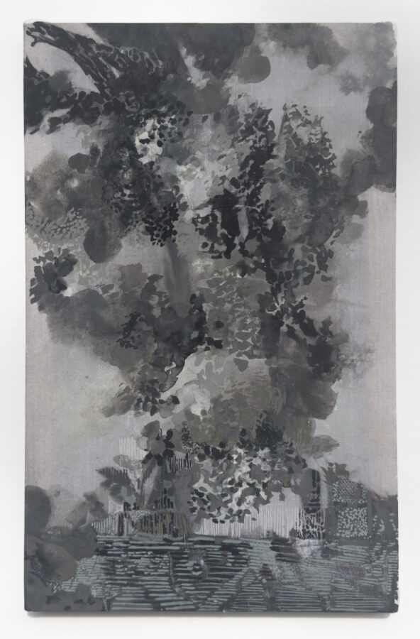 Plume