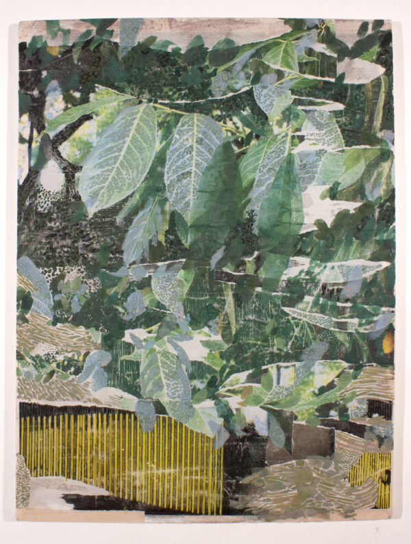 Laurel with Fence