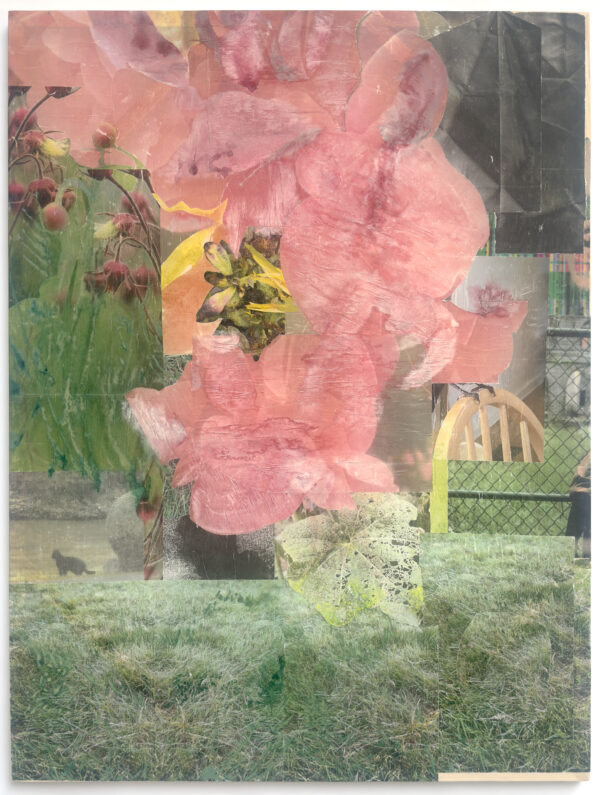 Flower Boy