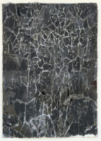 Black Tree 2