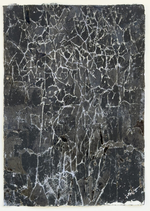Black Tree 2