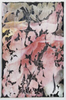 Shattered Landscape